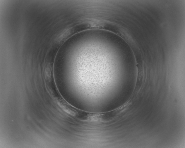 X0000081560078200701221038