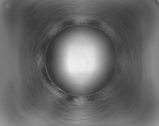 X0000081560079200701221038