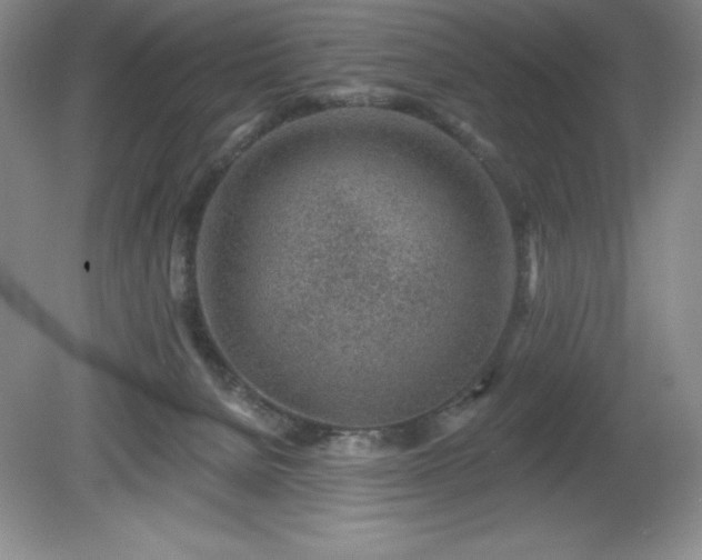 X0000081560080200701221038