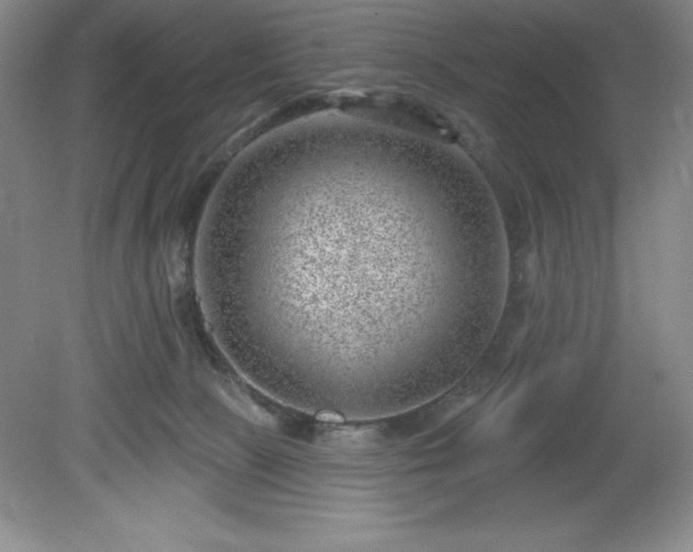 X0000081560081200701221038