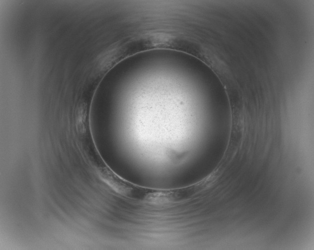 X0000081560082200701221038