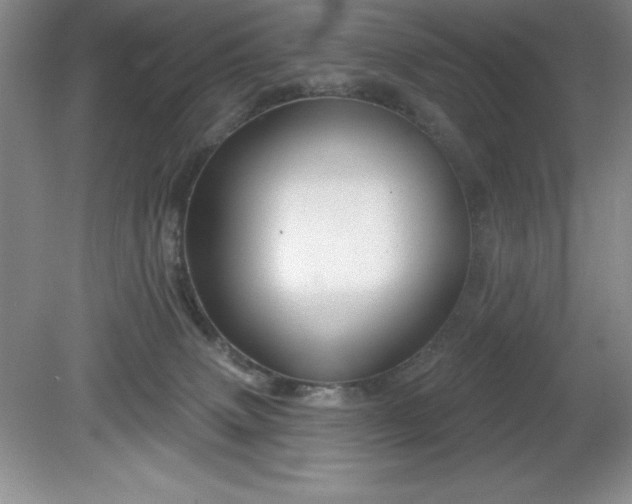 X0000081560083200701221038