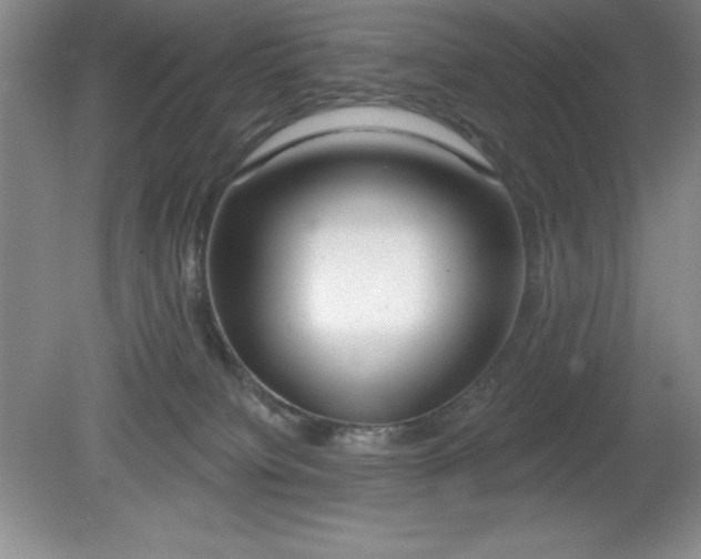 X0000081560084200701221038