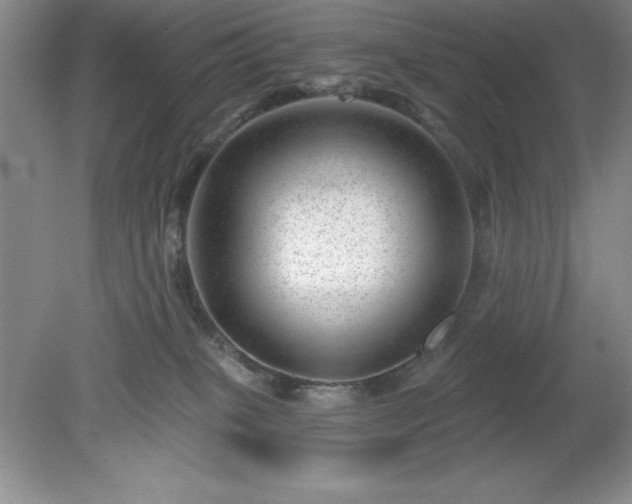 X0000081560085200701221038