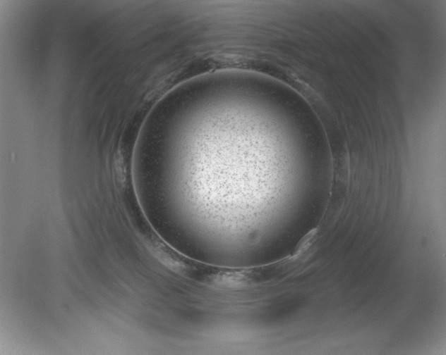 X0000081560086200701221038