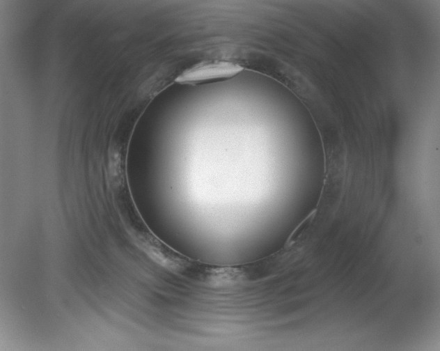 X0000081560087200701221038