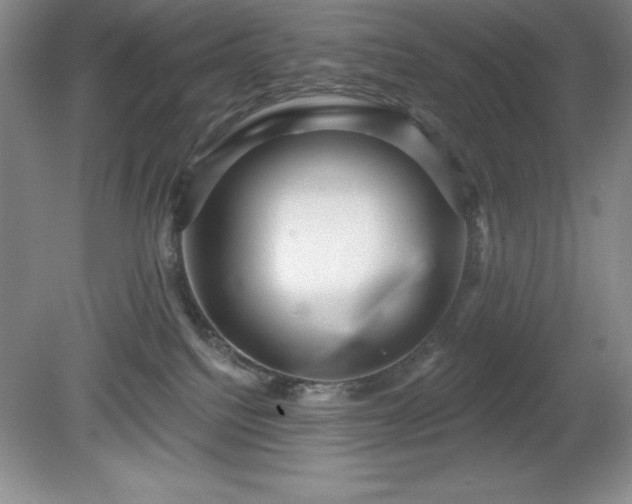 X0000081560088200701221038