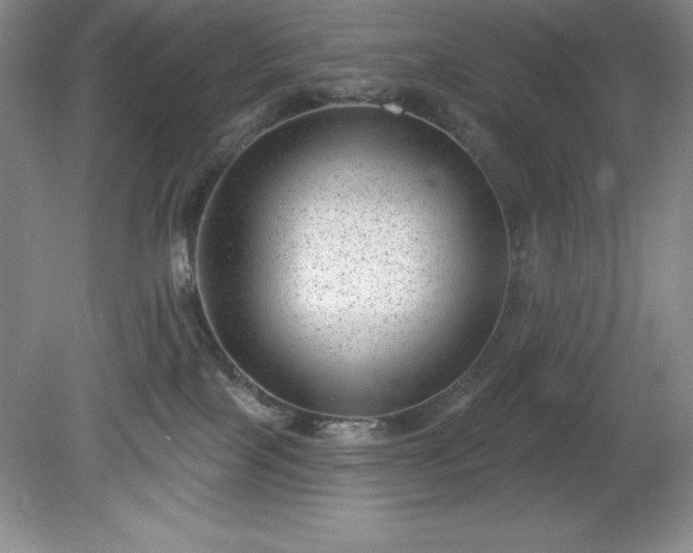 X0000081560089200701221038