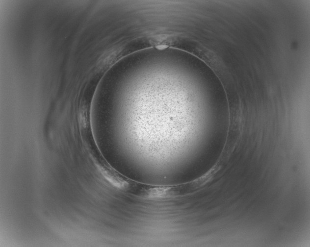 X0000081560090200701221038