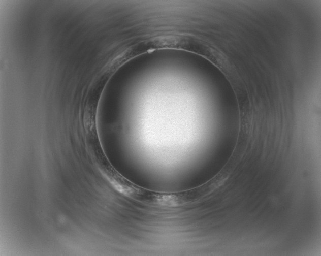 X0000081560091200701221038