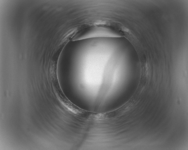 X0000081560092200701221038