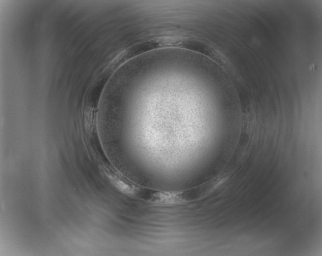 X0000081560093200701221038