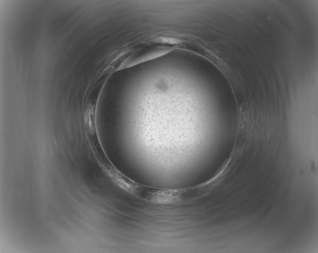 X0000081560094200701221038