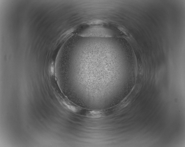 X0000081560095200701221038