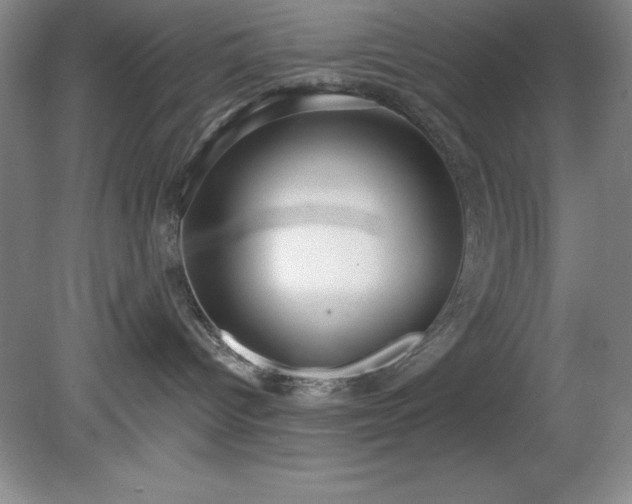 X0000081560096200701221038