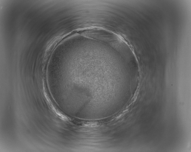 X0000081560097200701221037