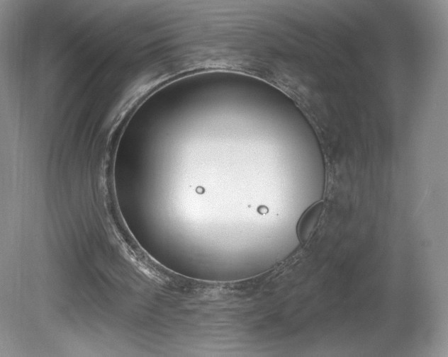 X0000081560098200701221037