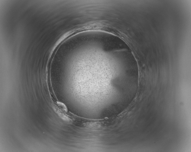 X0000081560100200701221037