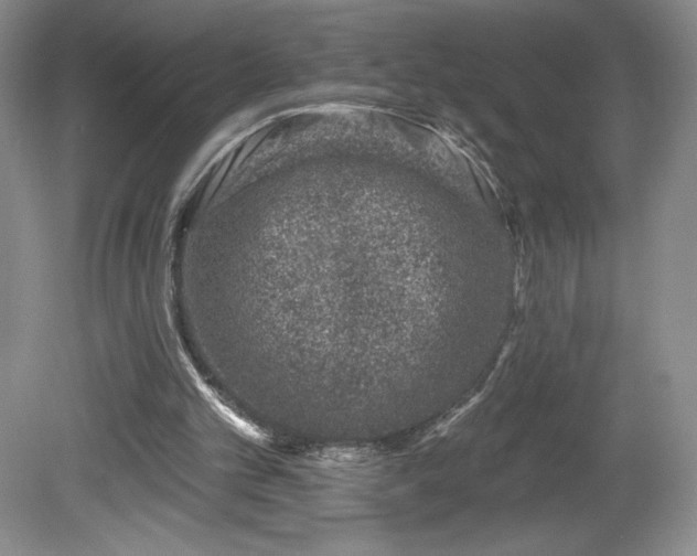 X0000081560101200701221037