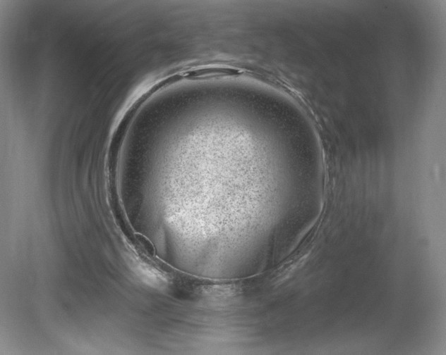 X0000081560102200701221037