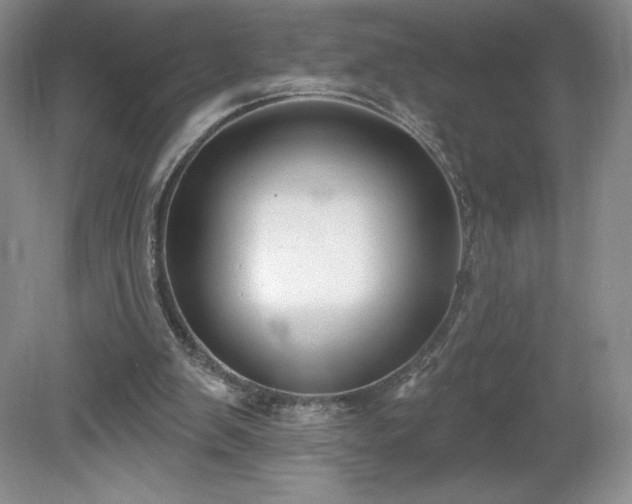 X0000081560103200701221037