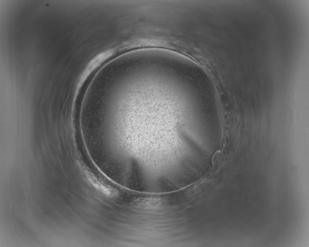 X0000081560104200701221037