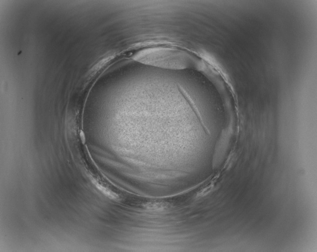 X0000081560105200701221037