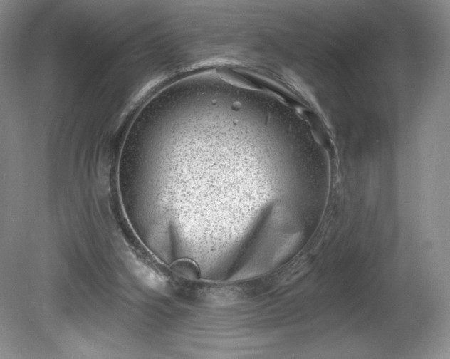 X0000081560106200701221037