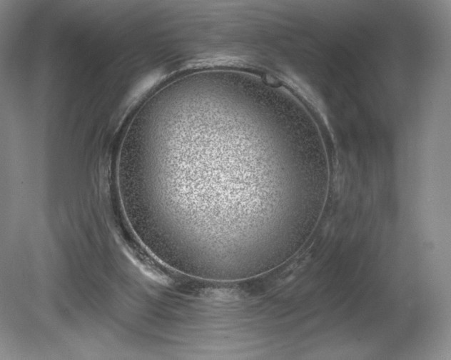 X0000081560107200701221037