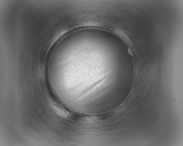 X0000081560108200701221037