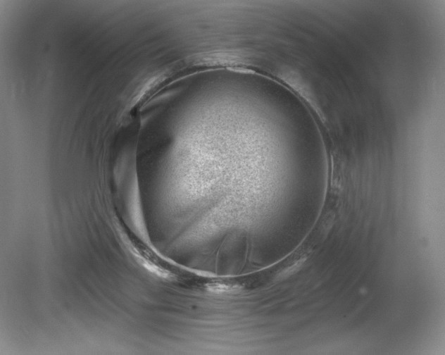 X0000081560109200701221037