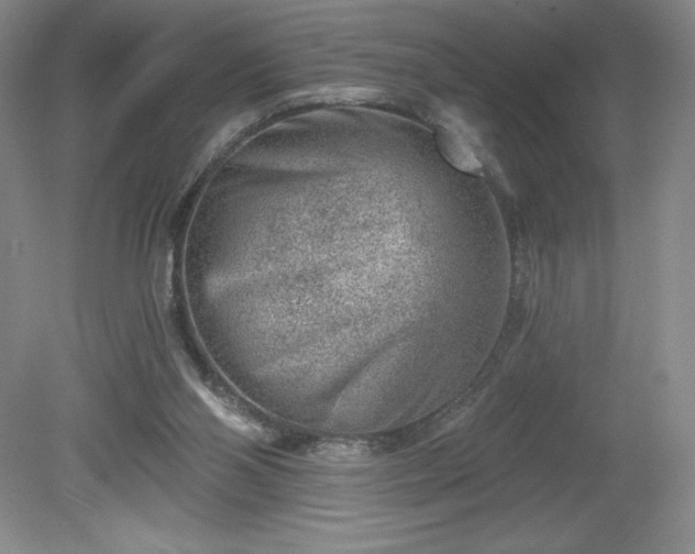 X0000081560110200701221037