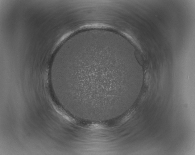 X0000081560111200701221037