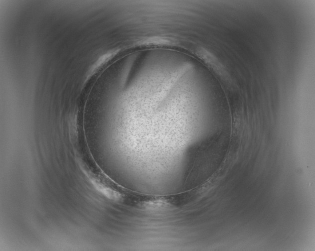 X0000081560112200701221037