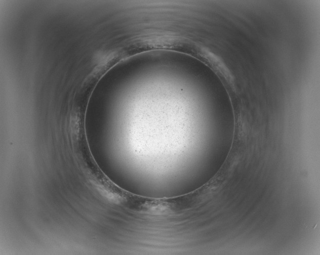 X0000081560113200701221037