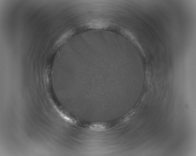 X0000081560114200701221037