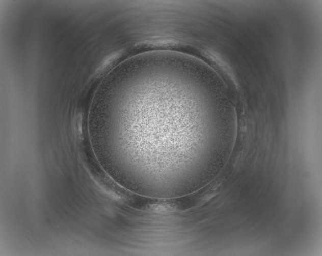 X0000081560115200701221037