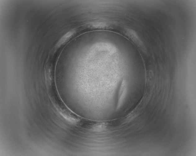 X0000081560116200701221037