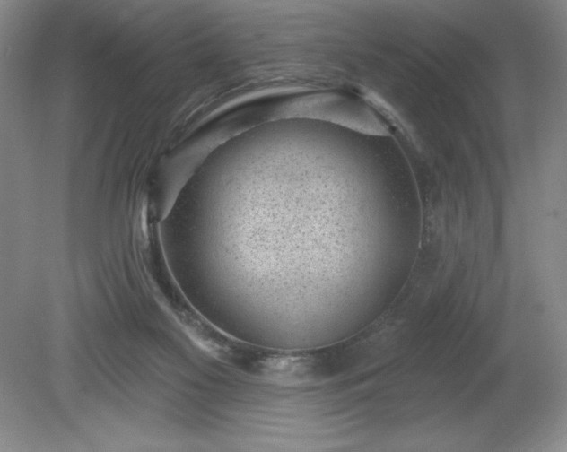 X0000081560117200701221037