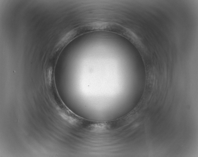 X0000081560118200701221037