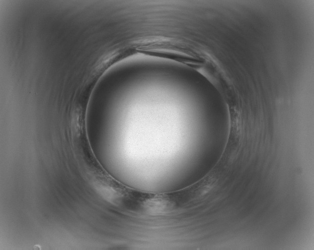 X0000081560119200701221037