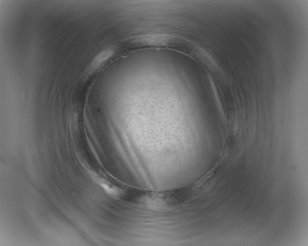 X0000081560120200701221037