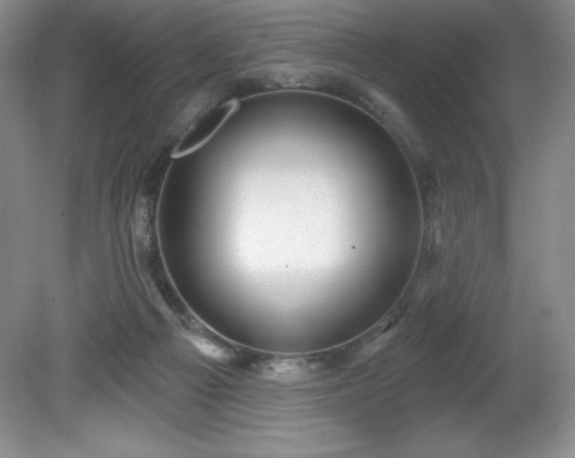 X0000081560121200701221037