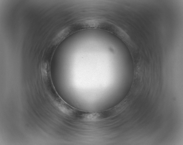 X0000081560122200701221037