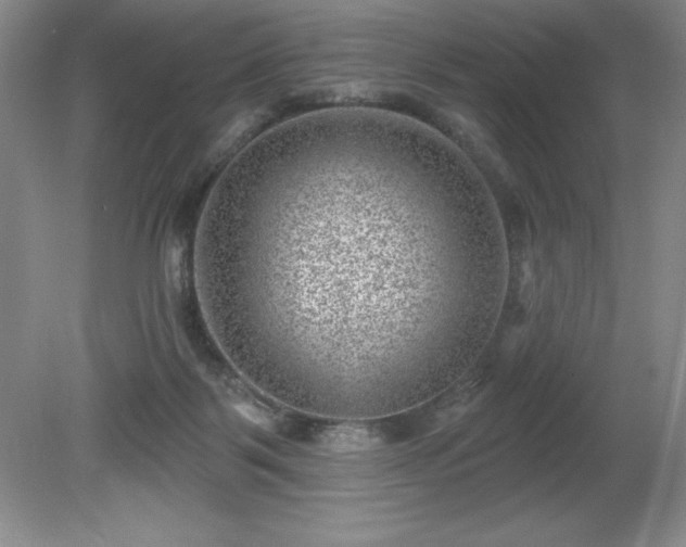 X0000081560123200701221037