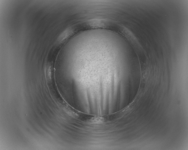 X0000081560124200701221037