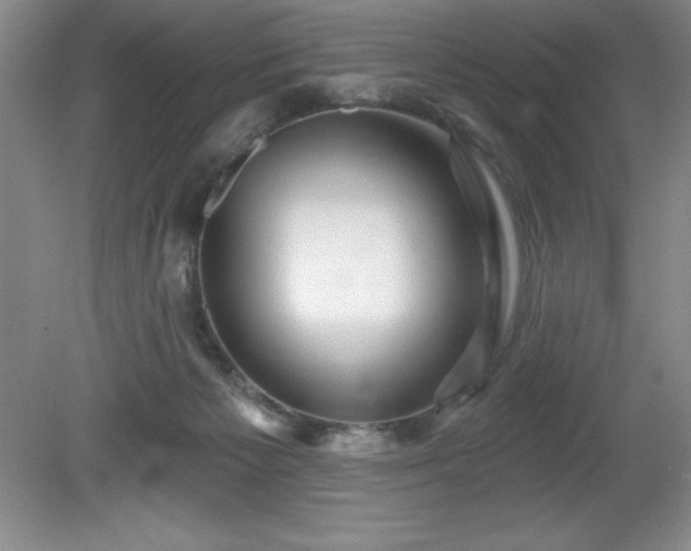 X0000081560125200701221037