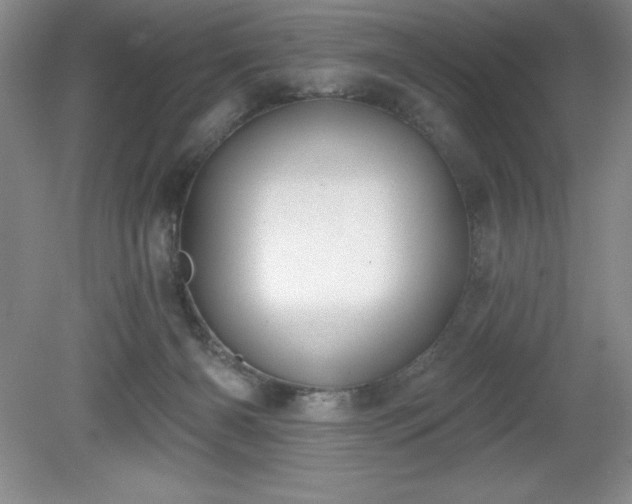 X0000081560126200701221037