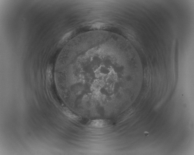 X0000081560127200701221037