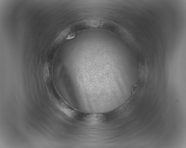 X0000081560128200701221037